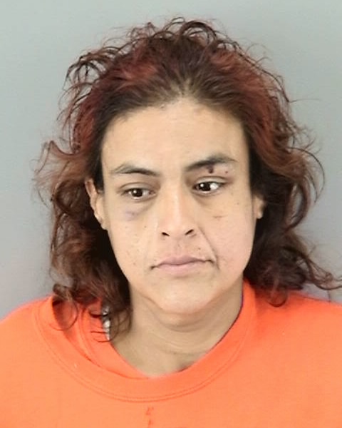 Booking Photo Veronica Barahona