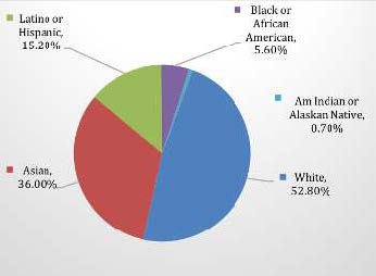 San Francisco Population By Race/Ethnicity