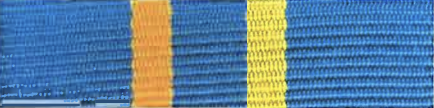 APEC Ribbon