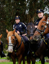 SFPD Mounted Patrol Unit