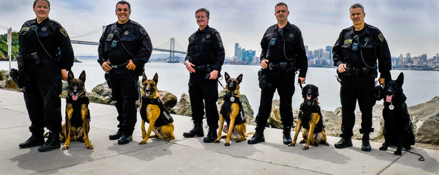 k9 police academy